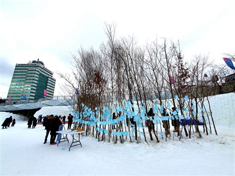 대관령 맛집: 눈 덮인 산길에서 만나는 맛의 여행